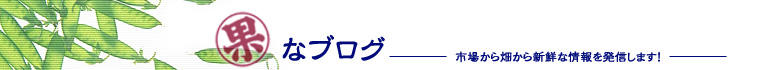 丸果なブログ