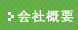 ЊTv