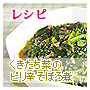 ̃shڂ
